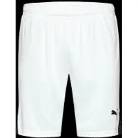 Puma Sportbroek 'teamLIGA26' zwart / wit