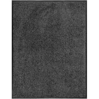 Floordirekt Vuilvangmat Use&Wash - Antislip Deurmat - Veelzijdig Inzetbaar - Antraciet - 120 x 300 cm - Onderhoudsvriendelijk, Slijtvast & Ideaal voor Hal, Entree en Woonruimte