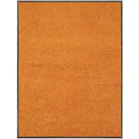 Floordirekt Vuilvangmat Use&Wash - Antislip Deurmat - Veelzijdig Inzetbaar - Oranje - 120 x 300 cm - Onderhoudsvriendelijk, Slijtvast & Ideaal voor Hal, Entree en Woonruimte