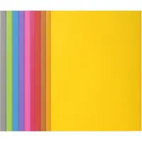 Exacompta Rock's 210 inlegmap A4 assorti (100 stuks)