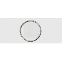 Swg 68455230 VN16mm Sleutelring Zilver 50 stuk(s)
