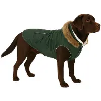 Flamingo winterjas voor honden – Kleur: groen – Maat: XL (55 cm) – Warm en modieus – Materiaal: polyester