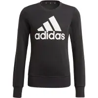 Adidas Kinder sweatshirt Essentials Big Logo | Maat 8/9 jaar oud