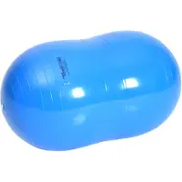 Gymnic Trainingsbal Physio Roll 30 | Maat 30 cm