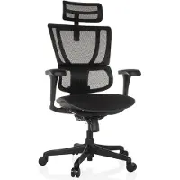 Hjh OFFICE Bureaustoel / directiestoel ERGOHUMAN SLIM ECO F GEN2 Zitting stof / rugleuning mesh zwart