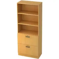 Hjh OFFICE PRO SIGNA G 7300 SG - Beuken Hoogte van de map | 5 OH Kast met ophangsysteem ( afsluitbaar) Greeplijst kunststof