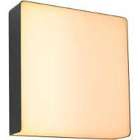 Paulmann LED buitenwandlamp Azalena, met schemersensor en bewegingsmelder (HF)