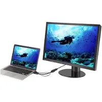 Renkforce RF-4777274 HDMI / DisplayPort adapterkabel [1x HDMI-connector, USB 2.0 connector type A - 1x DisplayPort-aansluiting] - Zwitserland