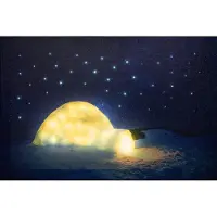 Annas collection Led Indoor Canvas 38 x 58 cm 42 Fiber Optic Stars + lighte Anna's Collection