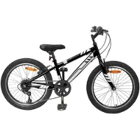 vidaXL Mountainbike 20 Inch 6-Snelheid voor 5-8 jaar oud Zwart