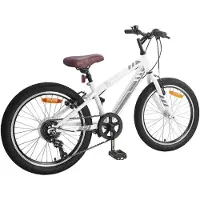 vidaXL Mountainbike 20 Inch 6-Snelheid voor 5-8 jaar oud Wit