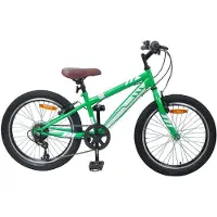 vidaXL Mountainbike 20 Inch 6-Snelheid voor 5-8 jaar oud Groen