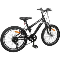 vidaXL Mountainbike 20 Inch 6-Snelheid voor 5-8 jaar oud Zwart