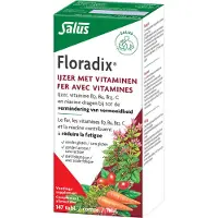 Salus Floradix IJzer Tabletten