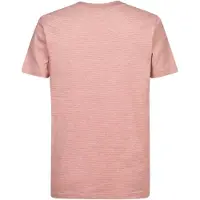 Petrol Industries Shirt 'Hierro ' lichtgrijs / perzik