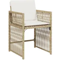 vidaXL 9-delige Tuinset met kussens poly rattan beige