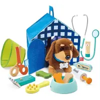 Hape House Pet Veterinary Clinic Blauw Kinderen