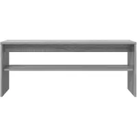 vidaXL TV-kast, 100 x 30 x 40 cm, grijs, Sonoma-houtfineer