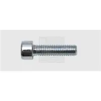 Swg 4009146067881 Inbusschroeven 8 mm 60 mm Binnenzeskant (inbus) Staal Verzinkt 100 stuk(s)