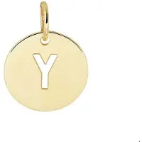 The Jewelry Collection Geelgouden Hanger letter Y 4020797