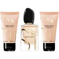 Giorgio Armani Pakket Si Eau de Parfum Giftset