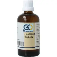 Go Ligustrum vulgare biologisch 100 ml