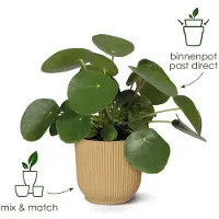 Elho Bloempot Vibes Fold - Kunststof - Linnen Wit - Diam.35xh32,4cm
