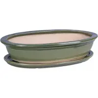 BOTLE Keramische Bonsai Pot Groen Ovaal 25cm - Stijlvolle Plantenbak