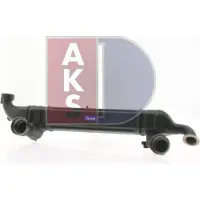 AKS DASIS 290018T EGR module