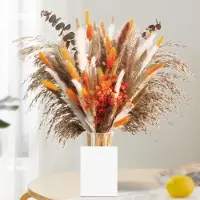 Famanu - Natuurlijke gedroogde pampasbloemen - Creëer een rustieke sfeer - Perfect voor boho decoratie - Onbekende kleur - 61 stuks