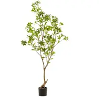 Emerald Tea leaf tree 185 cm kunstplant