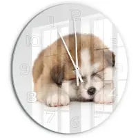 Tulup Wandklok - Akita-puppy Decoratieve Glazen Klok - fi60 cm - Oranje Glazen Wandklok Design - Witte handen - Ronde Klok - Glazen Klok Met Print - Wandklok Glas Met Motief