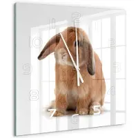 Tulup Wandklok - Rode Konijn Wandklok Glas Decoratie - 60x60 cm - Oranje Gekleurde Glazen Klok - Witte handen - Vierkante Klok - Klok Glas Met Opdruk - Moderne Wandklok Glas