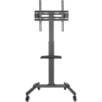 Equip 650607 Bodenstandhalter 32"-55"/35kg 1TFT 1Ablage Höhe sw