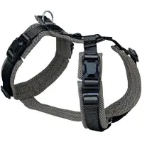 Petlando Magnetech Y-Comfort L Antraciet/Zwart