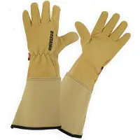 Rostaing Rozenhandschoenen - Lang Manchet - Maat 10