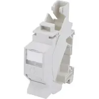 Telegärtner Ts45 Amj-S Module Pour Hutschiene - Tragschienen-Verbinder Ts45 Amj-S Incl. Amj-S-Module Cat.6A T568A, J00023A0205,F