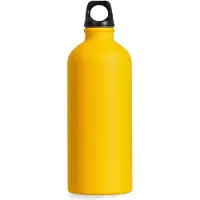 Salewa Isarco Lightweight 600ml Fles