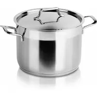 Artemis Anett RVS Pan met Deksel - 20 cm, 4.6L - Premium Kwaliteit