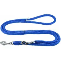 Champion Verstelbare Hondenlijn Blauw 2,5m - Robuust & Duurzaam