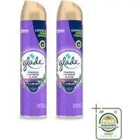 Glade 2 x - Luchtverfrisser Spray - Tranquil Lavender & Aloë - 300 ml - Wasstrips - Luchtverfrisser - Lavendel Geur - Frisheid In Huis - Ontspanning - Geur Neutraliseren