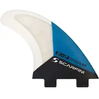 Scarfini Fcs1 Equilibrium Surf Vin