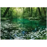 WALLARENA - Fotobehang - 200x140 cm - bos, rivier en bomen voor woonkamer en slaapkamer