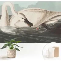 Wallfluent Fotobehang - Wit Vliesbehang - 152x104 cm - Harmonie Van De Natuur Fotobehang Vlies - Woonkamer behang Dieren - Muurschildering - Hal behang