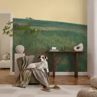 Coloray Vliesbehang - Groente Snellijm Behang - 208x146 cm - Papavervelden Muurschildering - Slaapkamer behang Landschappen - Fotobehang Vlies - Slaapkamer behang