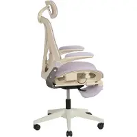OKWISH Bureaustoel – Ergonomische Klapstoel Met 3D Hoofdsteun, Lendensteun En Voetsteun – Voor Werk, Studie En Ontspanning – Mesh – Paars