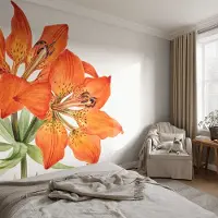 Coloray Vliesbehang - Oranje Snellijm Behang - 250x250 cm - Oranje Lelie Fotobehang Vlies - Woonkamer behang Bloemen En Planten - Muurschildering - Woonkamer behang