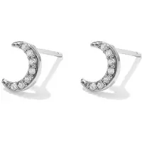 Yehwang Luna - Maan Oorknopjes - Zirkonia - Stainless Steel - Goudlief.nl