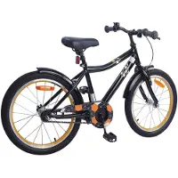 vidaXL Kinderfiets, 20 inch, geschikt voor kinderen van 6-11 jaar, zwart