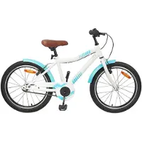 vidaXL Kinderfiets, 20 inch, geschikt voor kinderen van 6-11 jaar, hemelsblauw